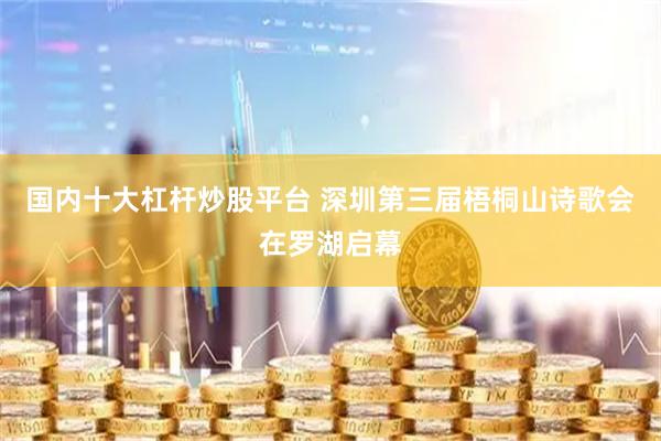 国内十大杠杆炒股平台 深圳第三届梧桐山诗歌会在罗湖启幕